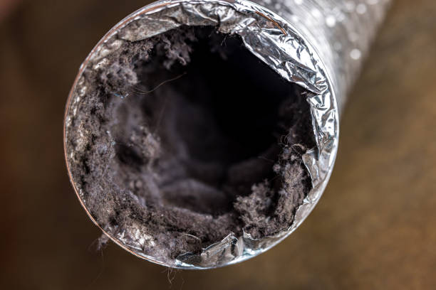 Best Commercial Air Duct Cleaning  in Kirbyville, TX